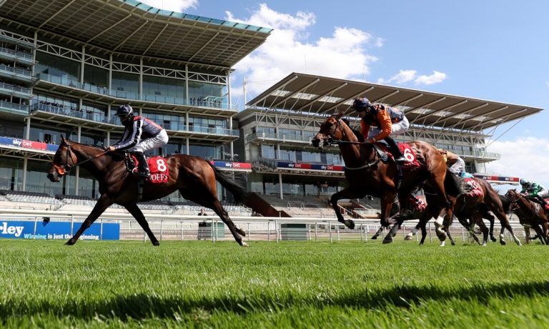 York-Ebor-header