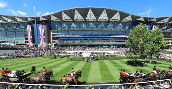 Ascot3