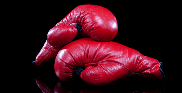 Boxing gloves 2