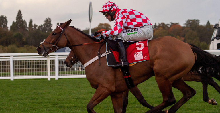 Newbury | Jango Baie