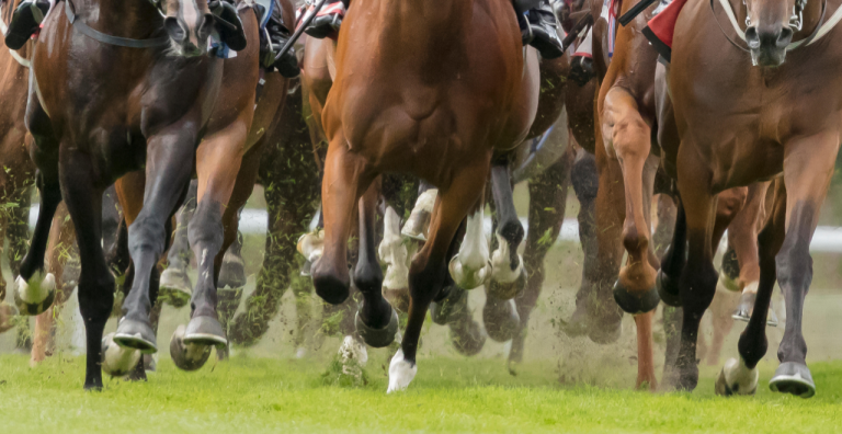 Day One Ebor Festival