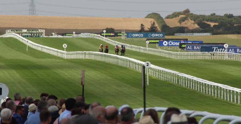 an improving filly
