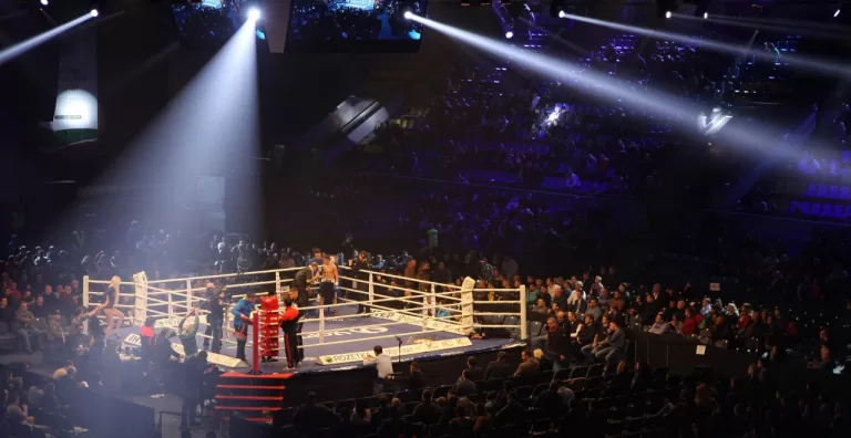 Boxing new