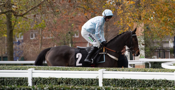 fair mark