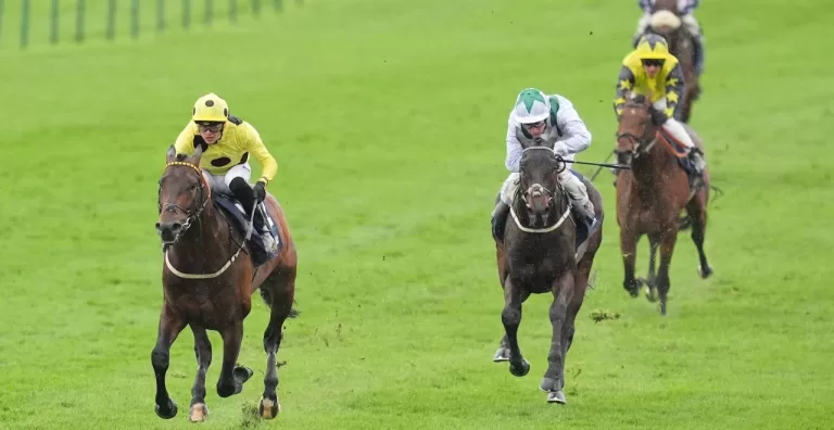 Newmarket