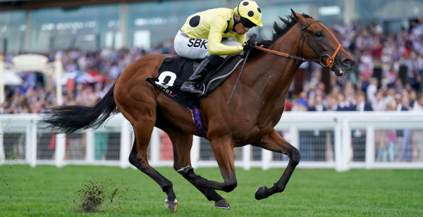 Richard Hannon
