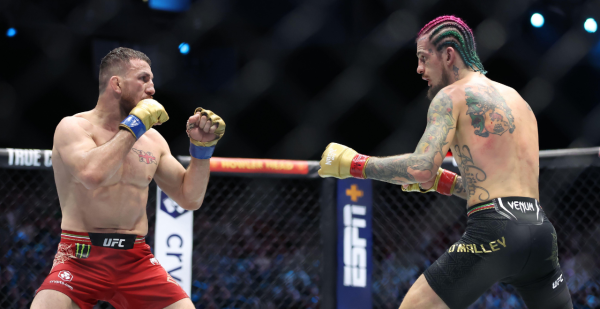 UFC 316