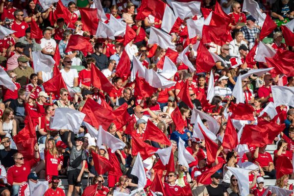 Football, International Friendly, Denmark – Norway