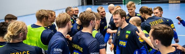 Handboll, Sverige, Träning