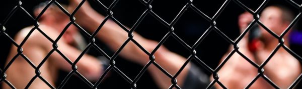 MMA, UFC Fight Night, Paris