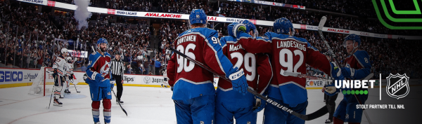 NHL-partner-blogg-header