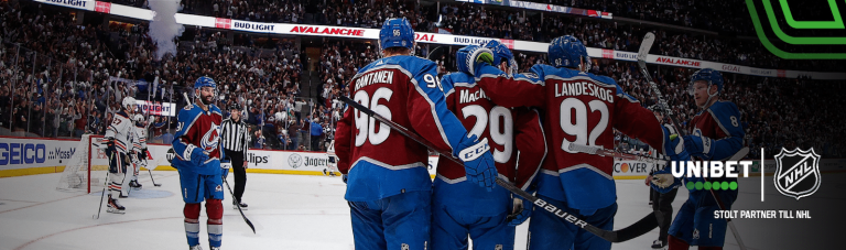 NHL-partner-blogg-header